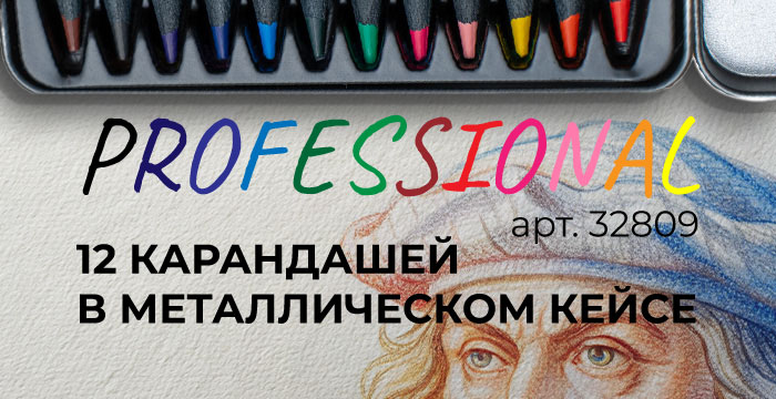 Это же PROFESSIONAL — набор из 12 карандашей в металлическом корпусе